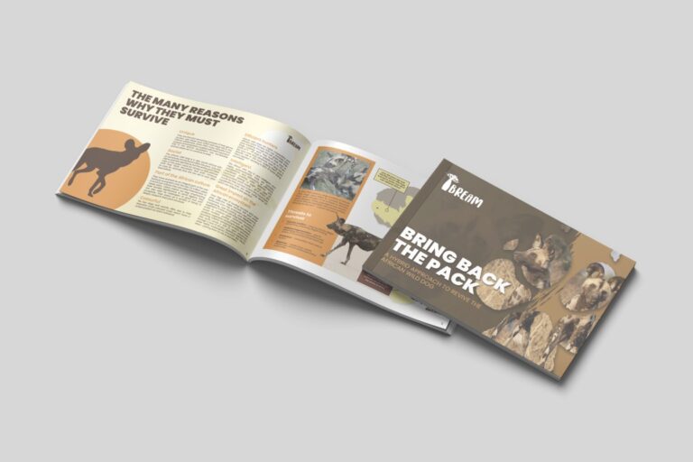 IBREAM AWD Brochure (Medium)